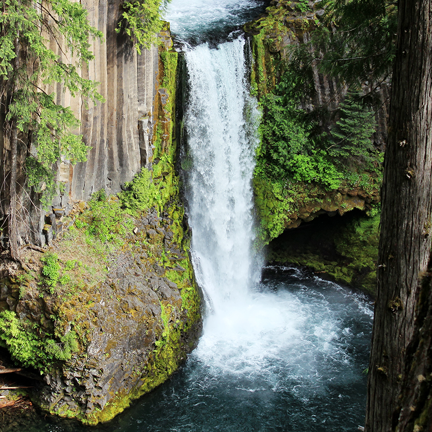 Toketee Falls / Oregon